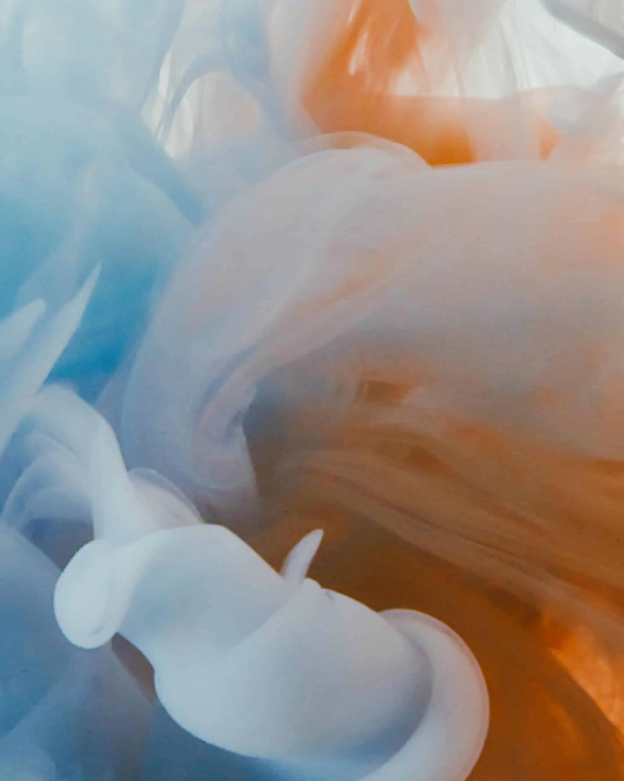 Blut- & Nährstoffanalyse